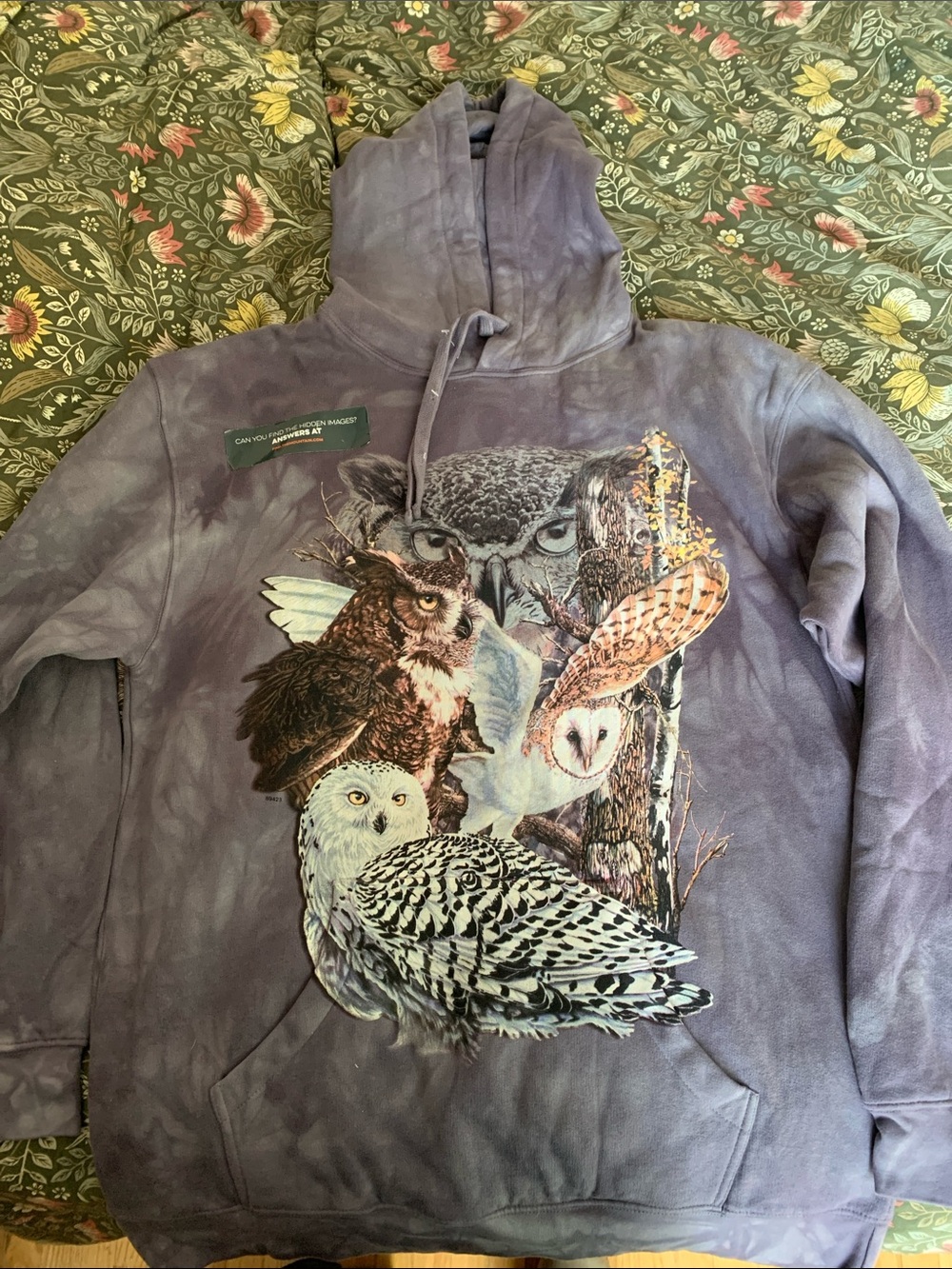 Unisex Gray Crewneck Hoodie with Multi-Owl Graphic